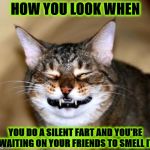 HOW YOU LOOK | HOW YOU LOOK WHEN; YOU DO A SILENT FART AND YOU'RE WAITING ON YOUR FRIENDS TO SMELL IT | image tagged in how you look | made w/ Imgflip meme maker