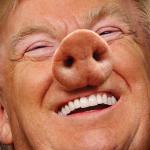 Trump Pig meme