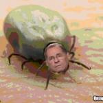 DC infested Poli-Ticks