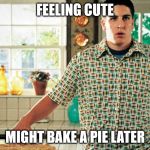 Jason Biggs American Pie | FEELING CUTE; MIGHT BAKE A PIE LATER | image tagged in jason biggs american pie | made w/ Imgflip meme maker