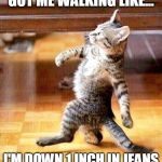 Cat Walking Away | GOT ME WALKING LIKE... I'M DOWN 1 INCH IN JEANS | image tagged in cat walking away | made w/ Imgflip meme maker