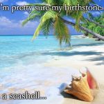 Conch-shell-beach | I'm pretty sure my birthstone... ...is a seashell... | image tagged in conch-shell-beach | made w/ Imgflip meme maker