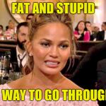 Nuff said | FAT AND STUPID; IS NO WAY TO GO THROUGH LIFE | image tagged in chrissy tiegan,scumbag hollywood | made w/ Imgflip meme maker