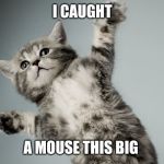 Paws up kitten | I CAUGHT; A MOUSE THIS BIG | image tagged in paws up kitten | made w/ Imgflip meme maker