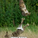 Every bunny was kung fu fighting | EVERY BUNNY; WAS KUNG FU FIGHTING | image tagged in every bunny was kung fu fighting | made w/ Imgflip meme maker