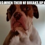 Crackhead dog | WHITE GIRLS WHEN THEIR NF BREAKS UP WITH THEM | image tagged in crackhead dog | made w/ Imgflip meme maker