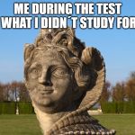 Lady eye | ME DURING THE TEST WHAT I DIDN´T STUDY FOR | image tagged in lady eye | made w/ Imgflip meme maker