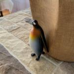 Sneaky penguin