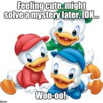 DuckTales Feeling Cute Might IDK | Feeling cute, might solve a mystery later, IDK... Woo-oo! | image tagged in ducktales feeling cute might idk | made w/ Imgflip meme maker