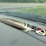 Eagle feather