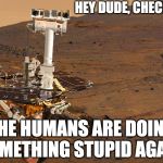 How robots will ACTUALLY treat us when they take over | HEY DUDE, CHECK IT OUT! THE HUMANS ARE DOING SOMETHING STUPID AGAIN! | image tagged in mars rovers reaction,nasa,mars rover | made w/ Imgflip meme maker