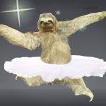 Sloth | image tagged in sloth,sunday,ballerina,dance,happy day,dancer | made w/ Imgflip meme maker