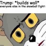confused tom | Trump: *builds wall*; everyone else in the snowball fight: | image tagged in confused tom | made w/ Imgflip meme maker