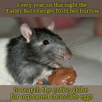 Legend of the Easter Rat | Every year on this night the Easter Rat emerges from her burrow; to search the entire globe for orphaned chocolate eggs | image tagged in easter rat,cute animals | made w/ Imgflip meme maker