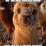 happy alpaca | WHEN U RUN OUT OF MEME IDEAS AND; AND MAKE A MEME ABOUT RUNNING OUT OF MEME IDEAS | image tagged in happy alpaca | made w/ Imgflip meme maker