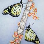 Butterflies on branch