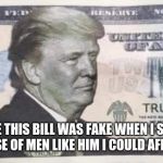 Trump 2020 bill | MY SON TOLD ME THIS BILL WAS FAKE WHEN I SOLD MY MOWER, I TOLD HIM BECAUSE OF MEN LIKE HIM I COULD AFFORD ANOTHER ONE. | image tagged in trump 2020 bill,maga,legal tender,money in my pocket | made w/ Imgflip meme maker