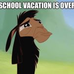 Cusco Llama | SCHOOL VACATION IS OVER | image tagged in cusco llama | made w/ Imgflip meme maker