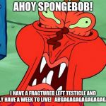 Mr. krabs | AHOY SPONGEBOB! I HAVE A FRACTURED LEFT TESTICLE AND ONLY HAVE A WEEK TO LIVE! 

ARGAGAGAGAGAGAGAGAGA | image tagged in mr krabs | made w/ Imgflip meme maker
