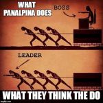 Leader or boss | WHAT PANALPINA DOES; WHAT THEY THINK THE DO | image tagged in leader or boss | made w/ Imgflip meme maker