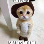 Cute Cat | CUTE CAT; SCARES ME TOO | image tagged in cute cat | made w/ Imgflip meme maker