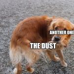 Dog biting tail | ANOTHER ONE; THE DUST | image tagged in dog biting tail | made w/ Imgflip meme maker