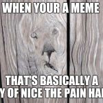 Face In Wood Grain | WHEN YOUR A MEME; THAT'S BASICALLY A COPY OF NICE THE PAIN HAROLD | image tagged in face in wood grain | made w/ Imgflip meme maker