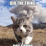 disaster cat | FELT CUTE. DID THE THING. NOT SORRY. | image tagged in disaster cat | made w/ Imgflip meme maker