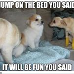 See? | JUMP ON THE BED YOU SAID; IT WILL BE FUN YOU SAID | image tagged in see | made w/ Imgflip meme maker