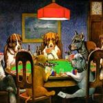 Dogs playing poker