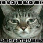 FACE YOU MAKE | THE FACE YOU MAKE WHEN; SOMEONE WON'T STOP TALKING! | image tagged in face you make | made w/ Imgflip meme maker