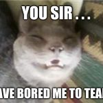 bored kitty | YOU SIR . . . HAVE BORED ME TO TEARS | image tagged in bored kitty,bored,boredom,tears,sleeping,yawn | made w/ Imgflip meme maker