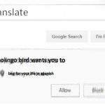 Amigo please dont | Translate; Duolingo bird wants you to; beg for your life in spanish | image tagged in google wants to know your location,duolingo | made w/ Imgflip meme maker