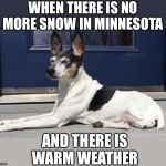 ☀️ That Minnesota sun ☀️ | WHEN THERE IS NO MORE SNOW IN MINNESOTA; AND THERE IS WARM WEATHER | image tagged in dogs,minnesota,summer | made w/ Imgflip meme maker