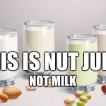 Vegan milk | THIS IS NUT JUICE; NOT MILK | image tagged in vegan milk | made w/ Imgflip meme maker