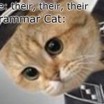 Unsettled Grammar Cat | Me: their, their, their; Grammar Cat: | image tagged in unsettled grammar cat,memes | made w/ Imgflip meme maker