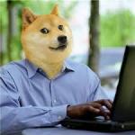 Doge computer