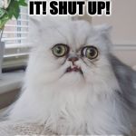 STOP IT | WHAT? STOP IT! SHUT UP! STOP LAUGHING! | image tagged in stop it | made w/ Imgflip meme maker