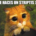 Gato con botas | ME HACES UN STRIPTIS ?? | image tagged in gato con botas | made w/ Imgflip meme maker