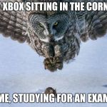 owl hunts mouse bottom spacing | MY XBOX SITTING IN THE CORNER; ME, STUDYING FOR AN EXAM | image tagged in owl hunts mouse extended | made w/ Imgflip meme maker