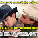 *New* County is GAY | I told you we weren't the only ones. LOOK AT ALL THE GAY "COUNTRY SINGERS". LUKE BRYAN, FLORIDA GEORGIA LINE, KANE BROWN, THOMAS RHETT, SAM HUNT. YOU WANT ME TO KEEP GOING? | image tagged in gay cowboy,country music,crap,rape | made w/ Imgflip meme maker