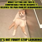 IT'S NOT FUNNY | WHAT? SITTING LIKE THIS IS COMFORTABLE FOR ME BECAUSE IT RELIEVES THE PAIN FROM MY HEMORRHOIDS! IT'S NOT FUNNY! STOP LAUGHING! | image tagged in it's not funny | made w/ Imgflip meme maker