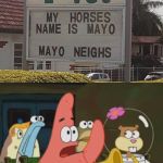 Is mayonnaise a horse? | IS MAYONNAISE A HORSE NAME? | image tagged in is mayonnaise an instrument,memes,patrick | made w/ Imgflip meme maker