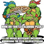 TMNT Pizza Party | HOW DO TURTLES ACQUIRE PIZZA? BY ANY MEANS NECESSARY, INCLUDING MURDERING THE PIZZA DELIVERYPERSON | image tagged in tmnt pizza party | made w/ Imgflip meme maker