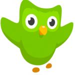 Duolingo Owl meme
