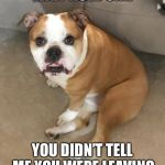 Surprised dog | WAIT HOLD ON... YOU DIDN’T TELL ME YOU WERE LEAVING | image tagged in surprised dog | made w/ Imgflip meme maker