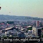 Godzilla Feeling Cute Might Destroy Tokyo