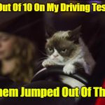 I'll Get 10 Out Of 10 Tomorrow! | I Got 8 Out Of 10 On My Driving Test Today; 2 Of Them Jumped Out Of The Way | image tagged in grumpy cat driving,memes,socrates,grumpy cat,bad drivers,driving | made w/ Imgflip meme maker