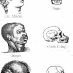 SCIENTIFIC RACISM