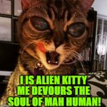 SOUL DEVOUR | I IS ALIEN KITTY; ME DEVOURS THE SOUL OF MAH HUMAN! | image tagged in soul devour | made w/ Imgflip meme maker